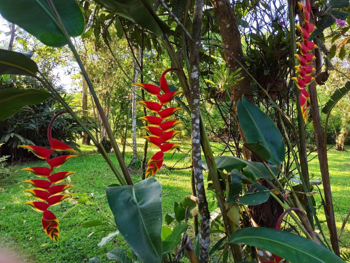 Ecoisa De Chacara - Casa De Vidro, Casa De Campo 모헤테스 외부 사진